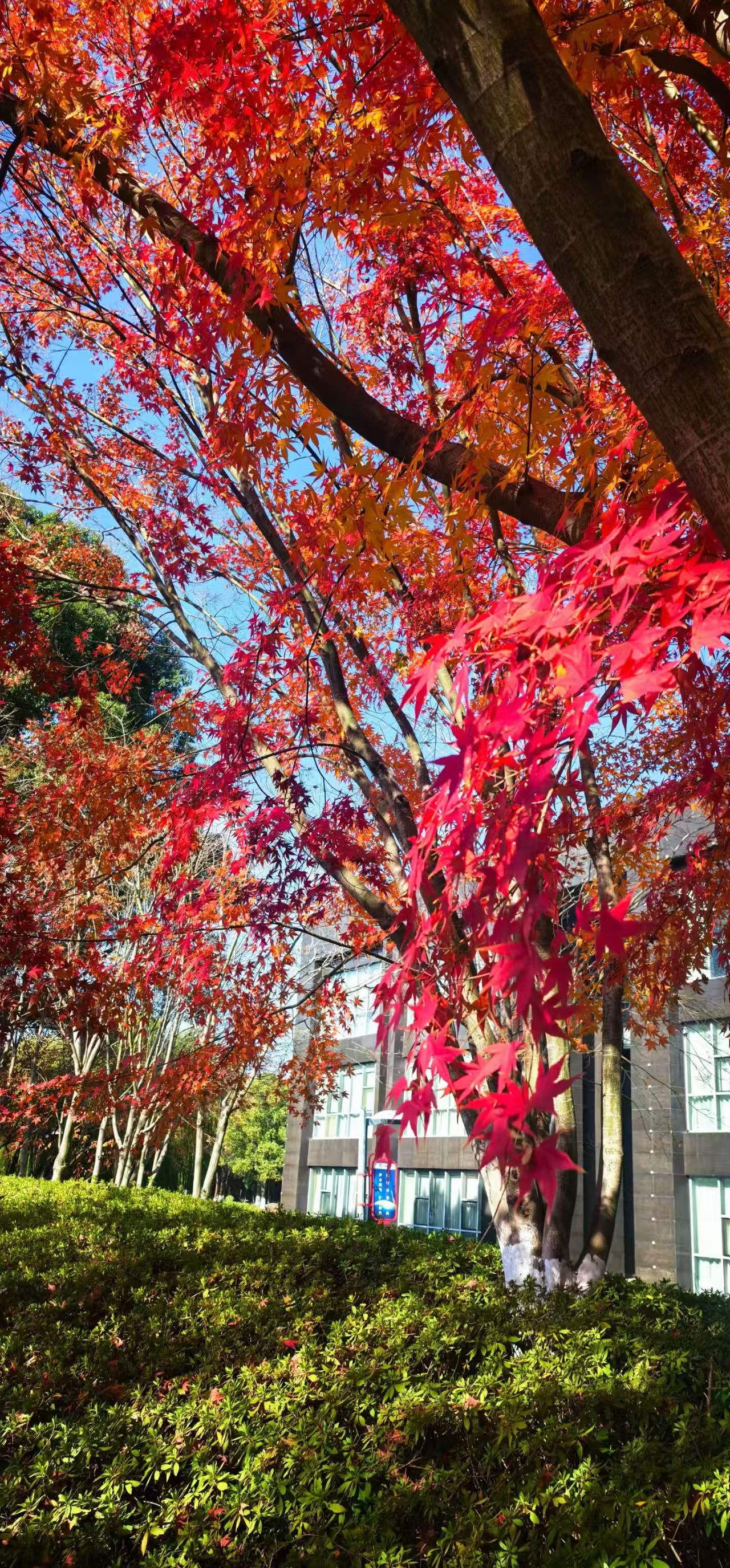 041764807714174390.jpeg e4b768c770e372319ec6f10a2002412.jpg